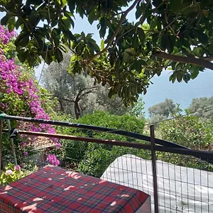 Apart Otel Aysen Ablanin Yeri Muğla